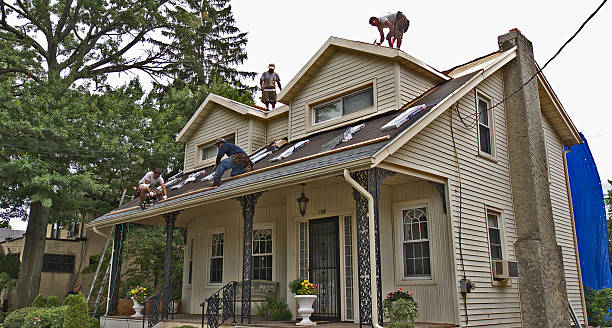 Best Storm Damage Roof Repair  in Wheeler Af, HI